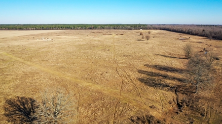 Recreational & Hunting Property For Sale in De Kalb TX - image 15