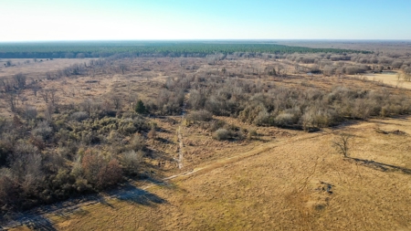 Recreational & Hunting Property For Sale in De Kalb TX - image 9