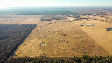Recreational & Hunting Property For Sale in De Kalb TX - image 1