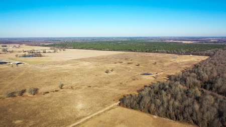 Recreational & Hunting Property For Sale in De Kalb TX - image 19