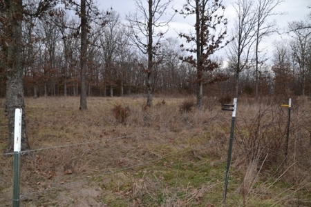 Beautiful Building Site, Laclede County Missouri - image 6