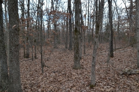 Beautiful Building Site, Laclede County Missouri - image 15