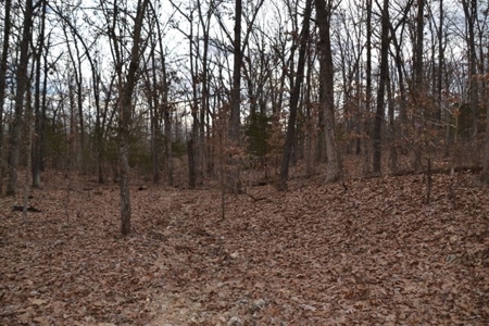 Beautiful Building Site, Laclede County Missouri - image 12