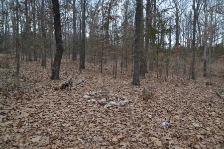 Beautiful Building Site, Laclede County Missouri - image 14