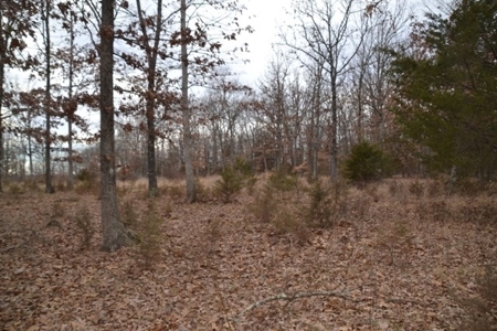 Beautiful Building Site, Laclede County Missouri - image 16
