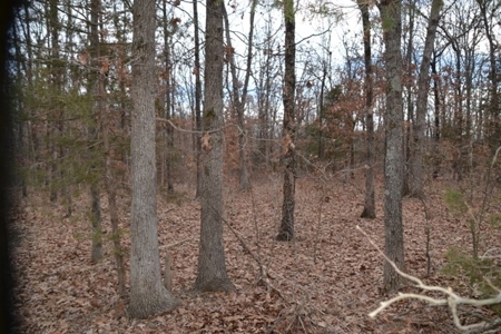 Beautiful Building Site, Laclede County Missouri - image 8