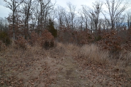 Beautiful Building Site, Laclede County Missouri - image 7