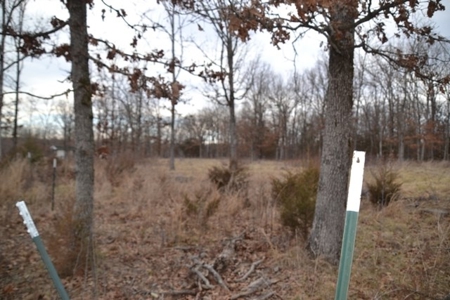 Beautiful Building Site, Laclede County Missouri - image 17