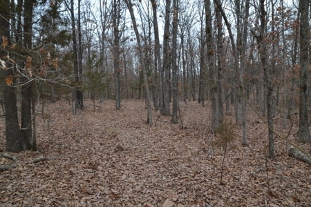 Beautiful Building Site, Laclede County Missouri - image 9