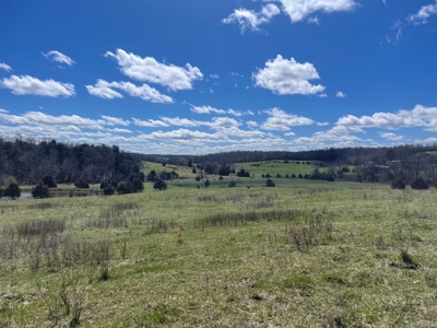 Farm for Sale in the Ozarks - image 9