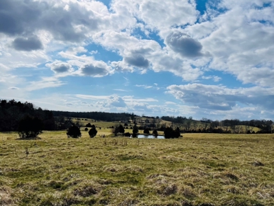 Farm for Sale in the Ozarks - image 3