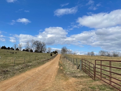 Farm for Sale in the Ozarks - image 2