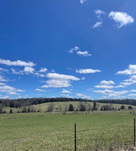 Farm for Sale in the Ozarks - image 7