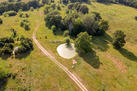 Farm for Sale in the Ozarks - image 18