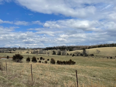 Farm for Sale in the Ozarks - image 1