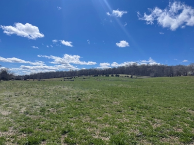 Farm for Sale in the Ozarks - image 11