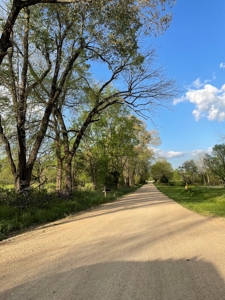 Farm for Sale in the Ozarks - image 4