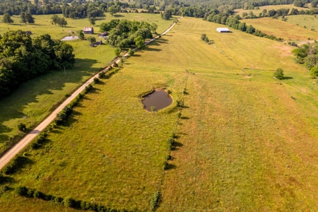 Farm for Sale in the Ozarks - image 29
