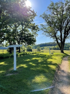 Farm for Sale in the Ozarks - image 6