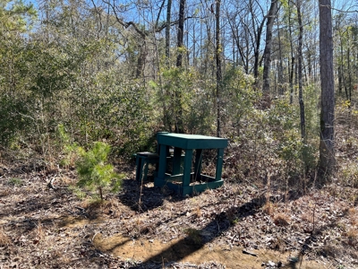 Recreational Hunting Land Lake Eufaula-Abbeville Alabama - image 22