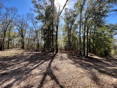 Recreational Hunting Land Lake Eufaula-Abbeville Alabama - image 24