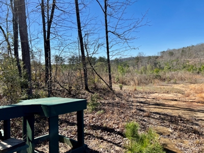 Recreational Hunting Land Lake Eufaula-Abbeville Alabama - image 23