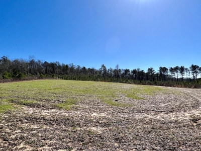 Recreational Hunting Land Lake Eufaula-Abbeville Alabama - image 4