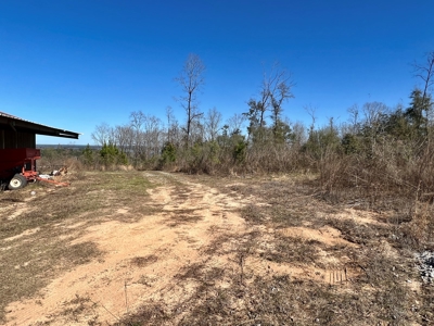 Recreational Hunting Land Lake Eufaula-Abbeville Alabama - image 26