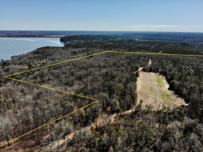 Recreational Hunting Land Lake Eufaula-Abbeville Alabama - image 13