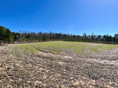 Recreational Hunting Land Lake Eufaula-Abbeville Alabama - image 28