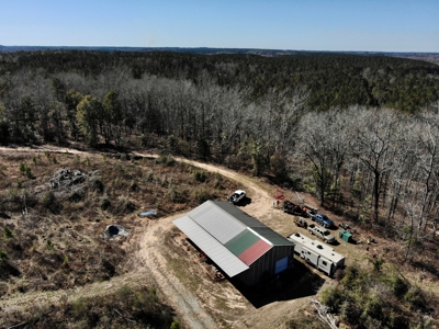 Recreational Hunting Land Lake Eufaula-Abbeville Alabama - image 6
