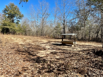 Recreational Hunting Land Lake Eufaula-Abbeville Alabama - image 33