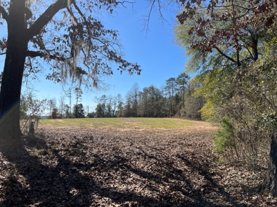 Recreational Hunting Land Lake Eufaula-Abbeville Alabama - image 31