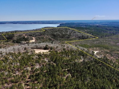 Recreational Hunting Land Lake Eufaula-Abbeville Alabama - image 21