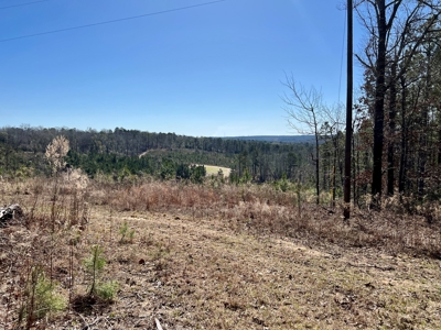 Recreational Hunting Land Lake Eufaula-Abbeville Alabama - image 20