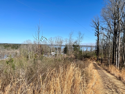 Recreational Hunting Land Lake Eufaula-Abbeville Alabama - image 2