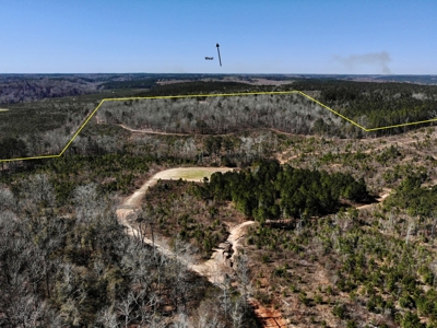 Recreational Hunting Land Lake Eufaula-Abbeville Alabama - image 12