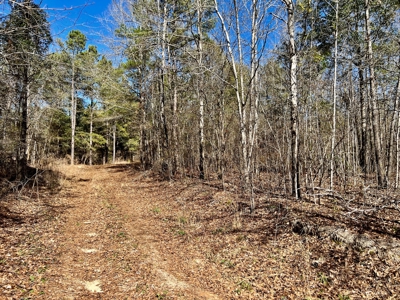 Recreational Hunting Land Lake Eufaula-Abbeville Alabama - image 34