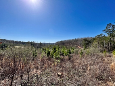 Recreational Hunting Land Lake Eufaula-Abbeville Alabama - image 35