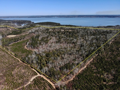 Recreational Hunting Land Lake Eufaula-Abbeville Alabama - image 16