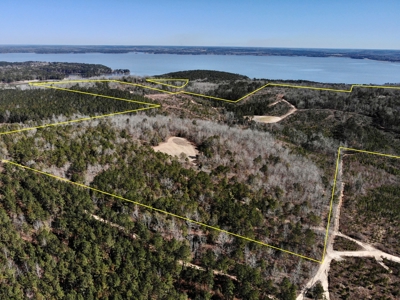 Recreational Hunting Land Lake Eufaula-Abbeville Alabama - image 1