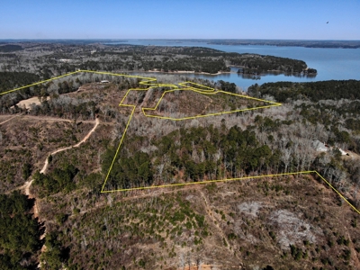 Recreational Hunting Land Lake Eufaula-Abbeville Alabama - image 14