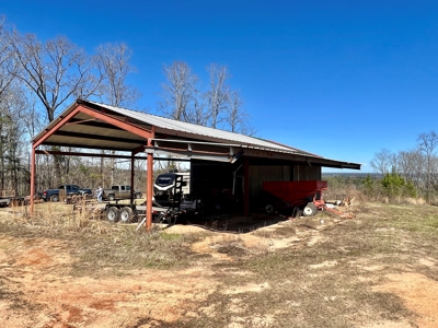 Recreational Hunting Land Lake Eufaula-Abbeville Alabama - image 5