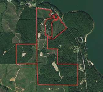 Recreational Hunting Land Lake Eufaula-Abbeville Alabama - image 7