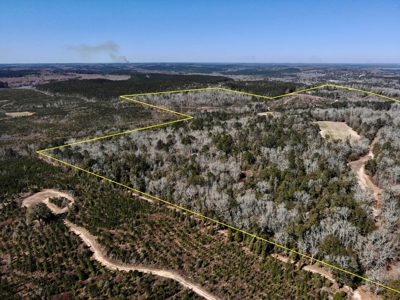 Recreational Hunting Land Lake Eufaula-Abbeville Alabama - image 15
