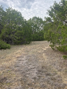 Country Living - Small Town Texas - Gated Community - image 3