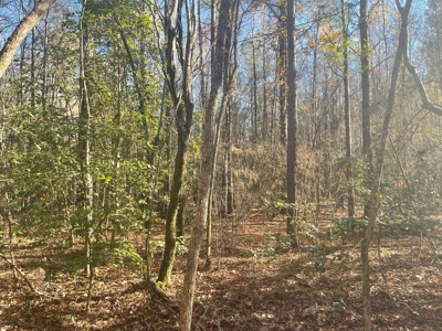 Hunting Property Grant County Arkansas - image 4