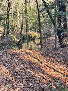 Hunting Property Grant County Arkansas - image 25