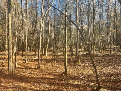 Hunting Property Grant County Arkansas - image 1
