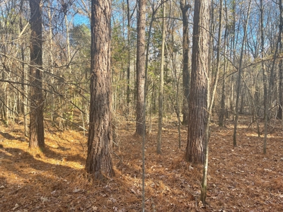 Hunting Property Grant County Arkansas - image 13